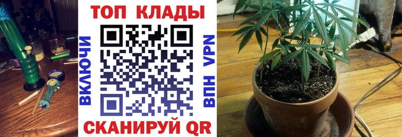 Виды наркотиков купить Туймазы Галлюциногенные грибы Меф Бошки Шишки Cocaine Alpha PVP