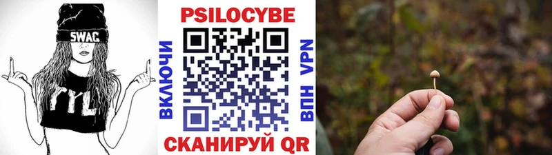 Псилоцибиновые грибы мицелий  Туймазы 