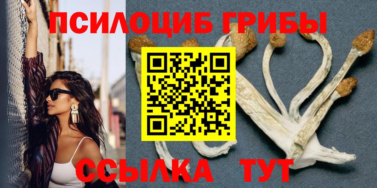 Псилоцибиновые грибы Psilocybine cubensis Туймазы